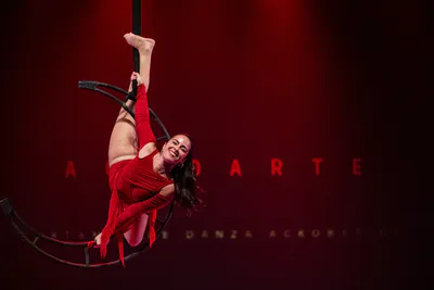 AcroArte 2024, foto 25