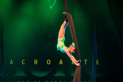 AcroArte 2024, foto 27