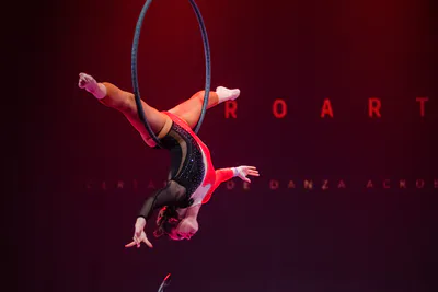 AcroArte 2024, foto 30