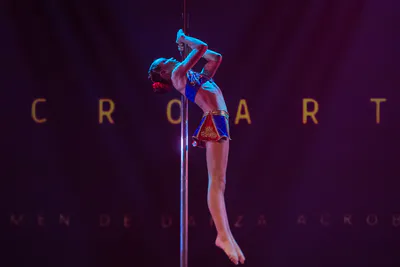 AcroArte 2024, foto 48