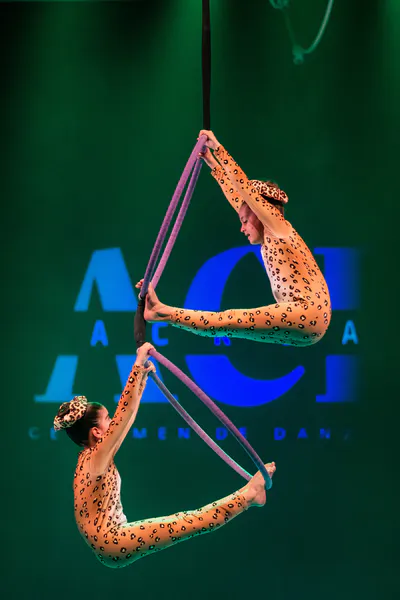 AcroArte 2024, foto 54