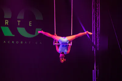 AcroArte 2024, foto 66