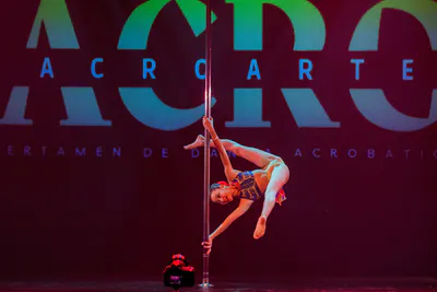 AcroArte 2024, foto 82