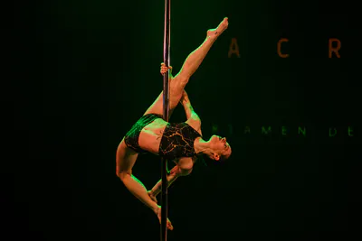 AcroArte 2024, foto 88