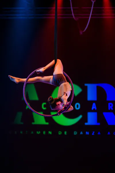 AcroArte 2024, foto 94