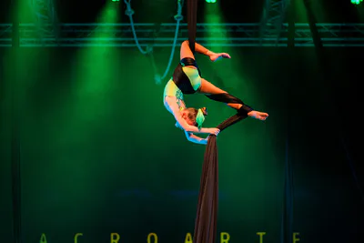 AcroArte 2024, foto 93