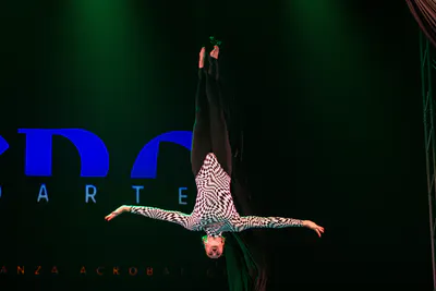 AcroArte 2024, foto 100
