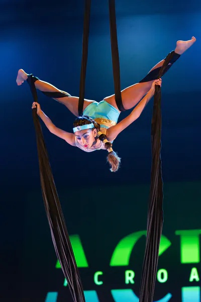 AcroArte 2025, foto 17