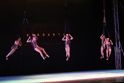 AcroArte 2025, foto 43