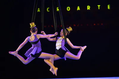 AcroArte 2025, foto 88