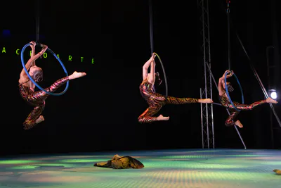 AcroArte 2025, foto 107