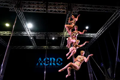 AcroArte 2025, foto 149