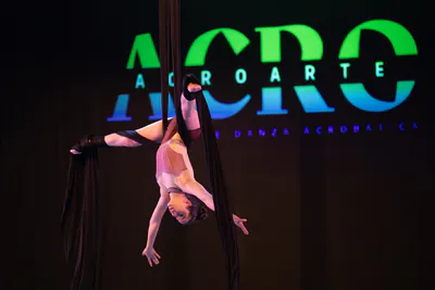 AcroArte 2025, foto 180