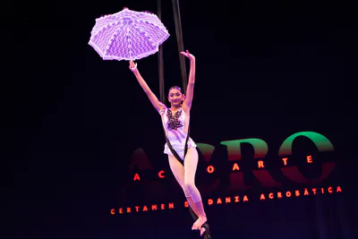 AcroArte 2026, foto 12