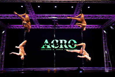 AcroArte 2026, foto 76
