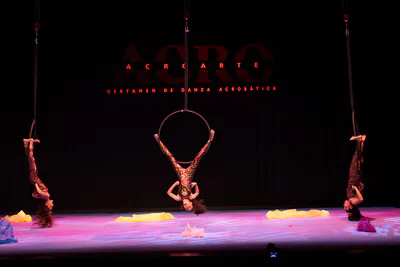 AcroArte 2026, foto 78