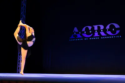 AcroArte 2026, foto 83