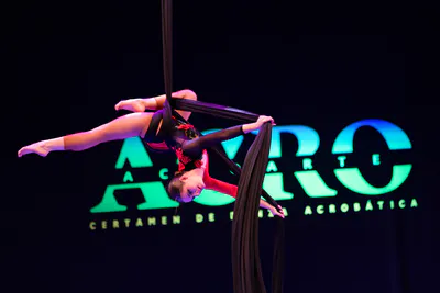 AcroArte 2026, foto 123