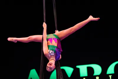 AcroArte 2026, foto 136