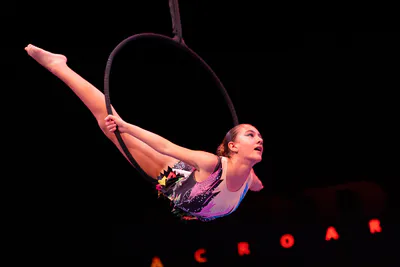 AcroArte 2026, foto 153