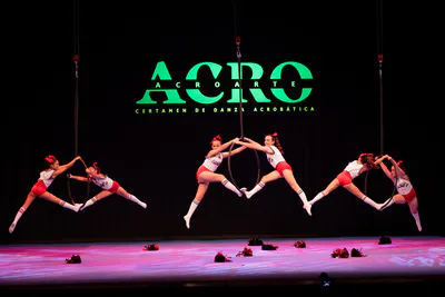 AcroArte 2026, foto 193