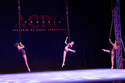 AcroArte 2026, foto 224
