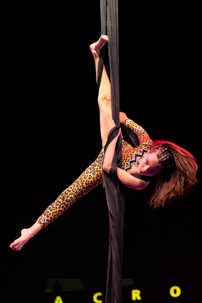AcroArte 2026, foto 225