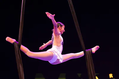 AcroArte 2026, foto 255